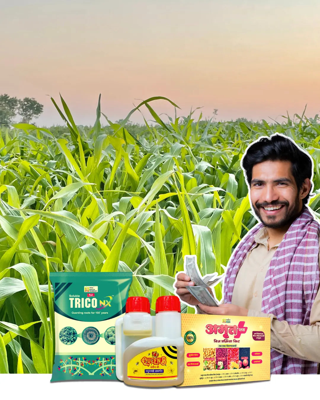 महापीक चर्चा - पपई