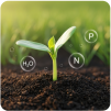 Biofertilizer