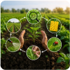 Integrated Pest Management
