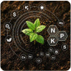 Micronutrients