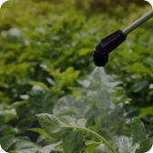 Biopesticides