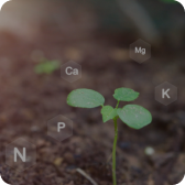 Micronutrients