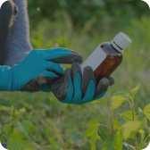 Biofertilizer