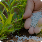 Fertilizers