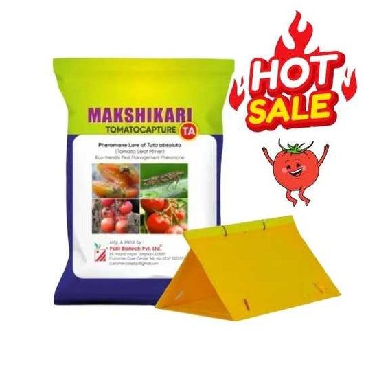 Makshikari Tomato Capture - Leaf miner trap