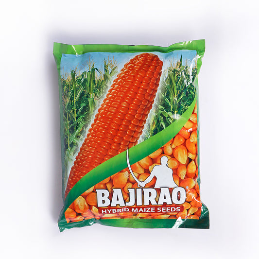 Bajirao Hybrid Maize Seeds