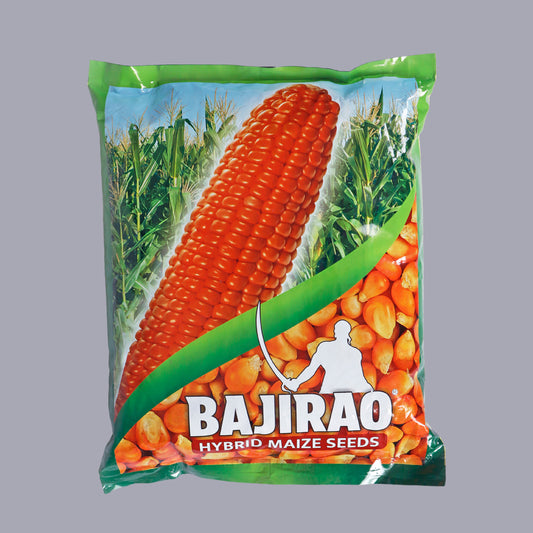 Bajirao Hybrid Maize Seeds