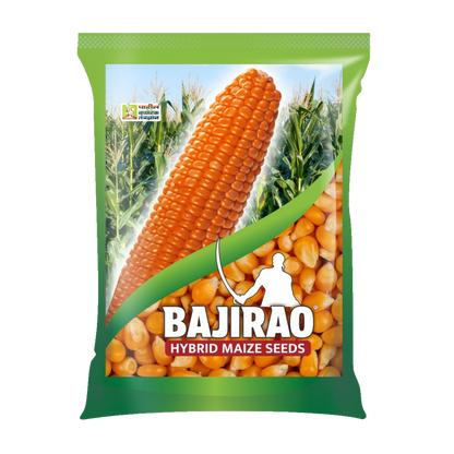 Bajirao Hybrid Maize Seeds