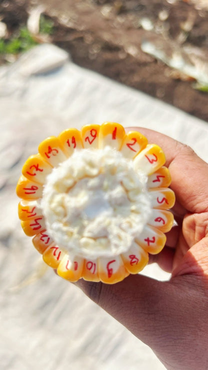 Bajirao Hybrid Maize Seeds