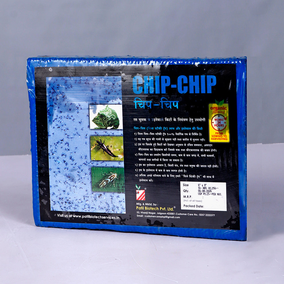 Chipchip