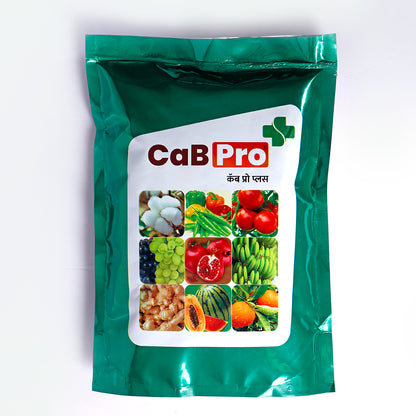 CaBPro+