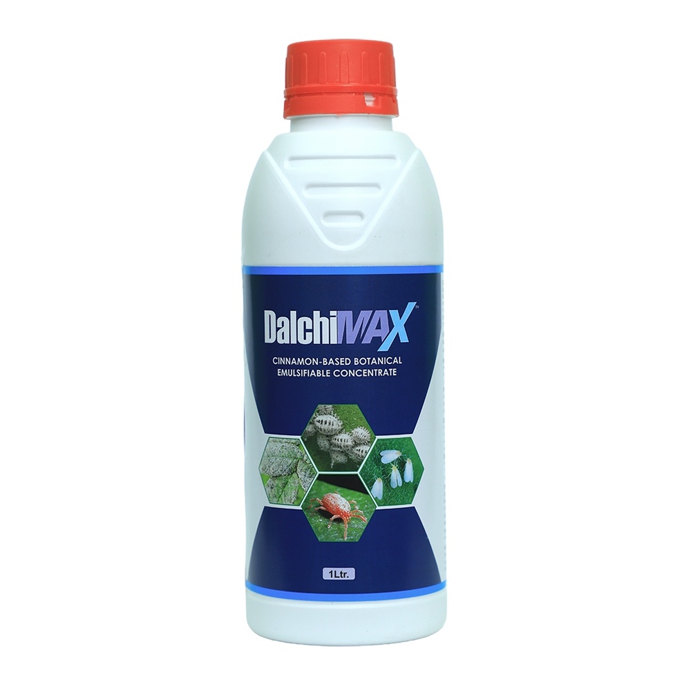 Dalchimax
