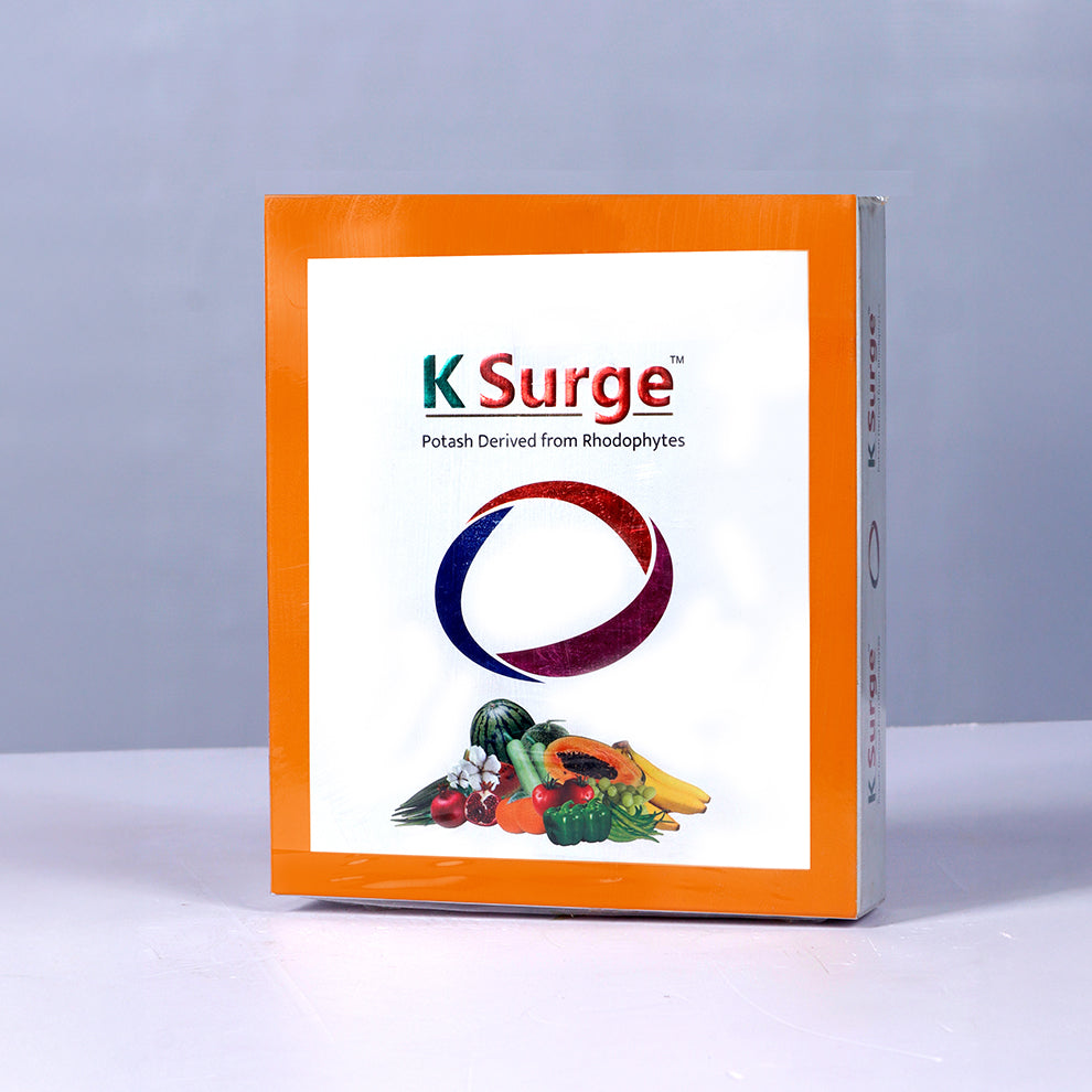 K-Surge