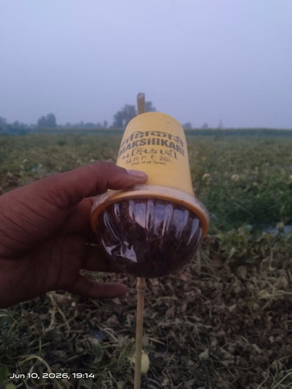 Makshikari Lure & Trap for Fruit Fly Control