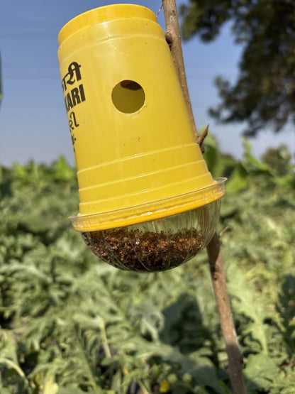 Makshikari Lure & Trap for Fruit Fly Control