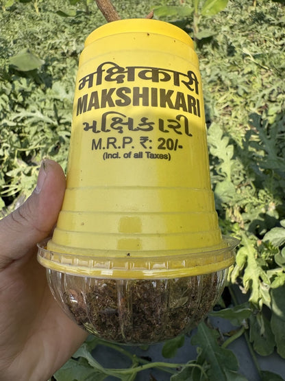 Makshikari Lure & Trap for Fruit Fly Control
