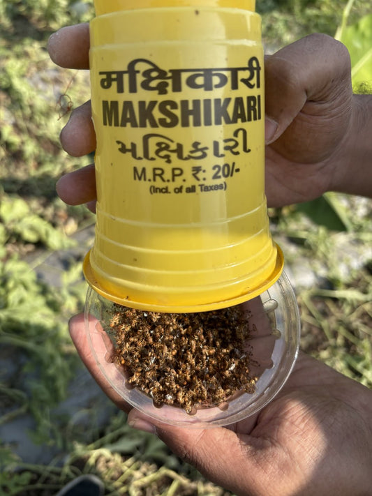 Makshikari Lure & Trap for Fruit Fly Control