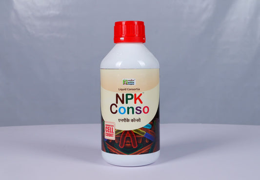 NPK Conso