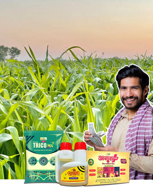 महापीक चर्चा - पपई