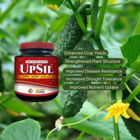 upsil benefits