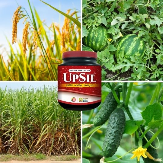 up[sil use in various crops