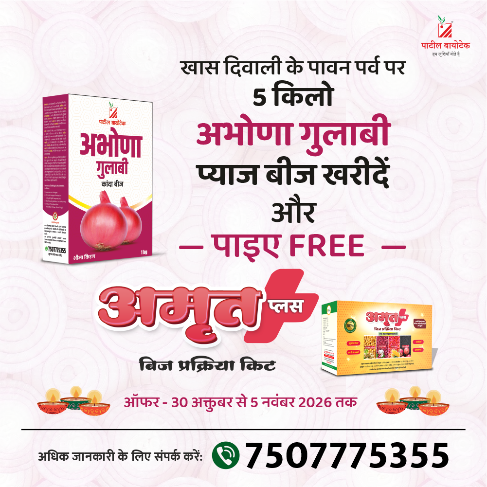 Abhona Gulabi
