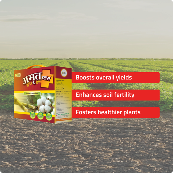 Amrut Plus Drenching Kit – Patil Biotech