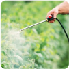 Biopesticides